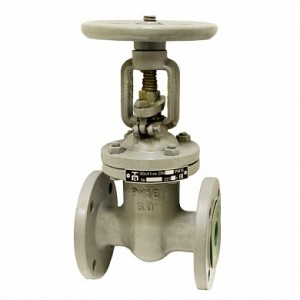 Задвижка ДУ80 сталь (30с41нж) Ci